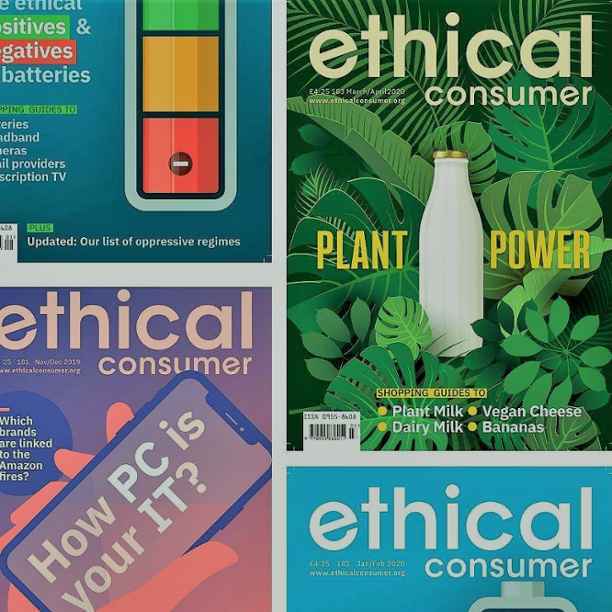 How to be an Ethical Consumer: 30 years of guiding conscious choices